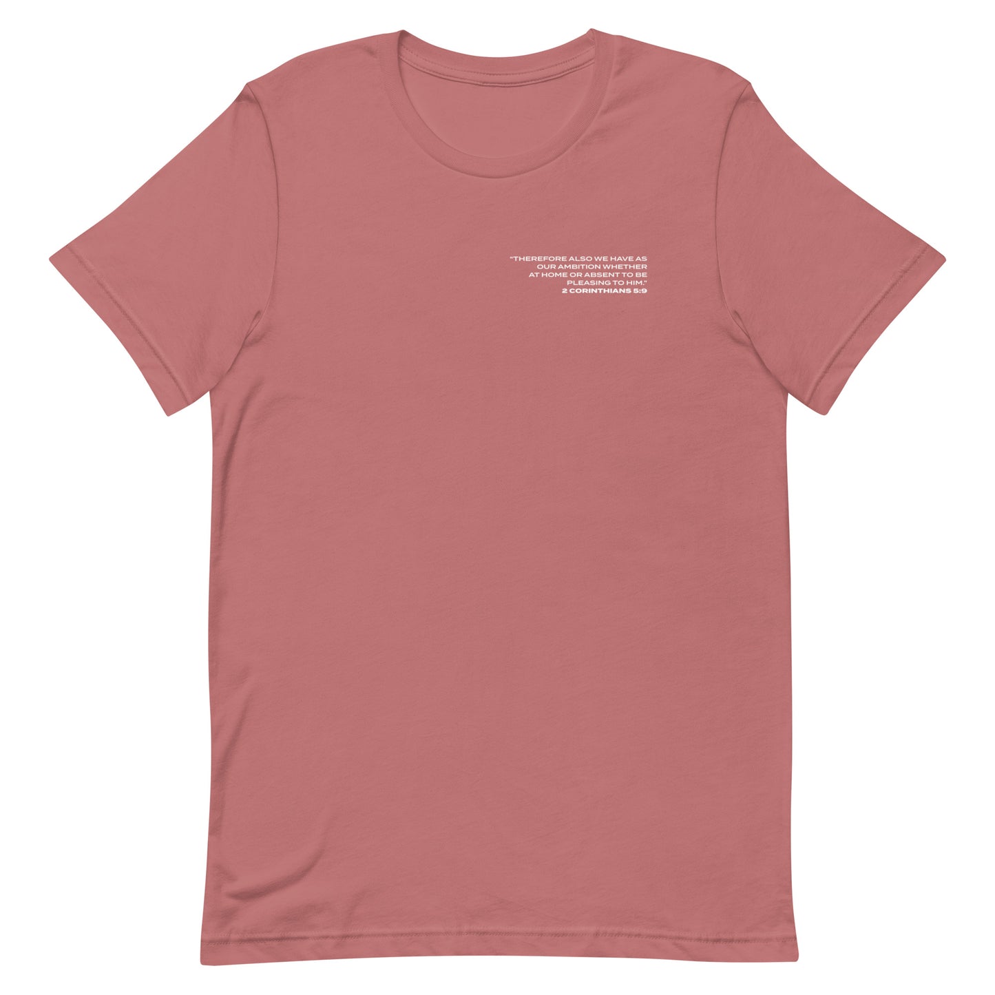 Audience Of One | Unisex t-shirt (mauve)